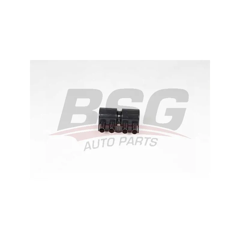 Bobine d'allumage BSG BSG 65-835-015