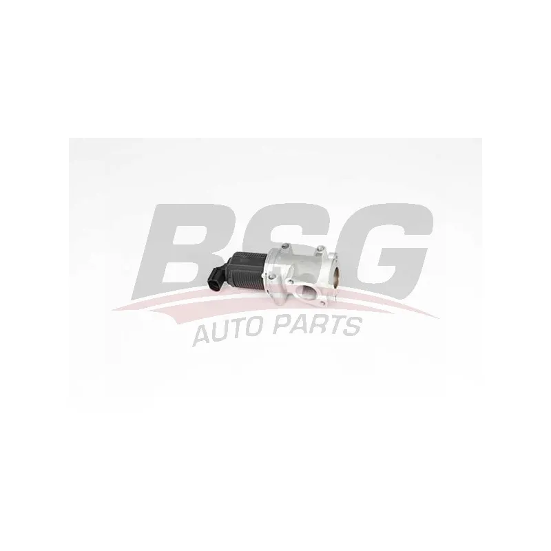 Vanne EGR BSG BSG 65-836-011