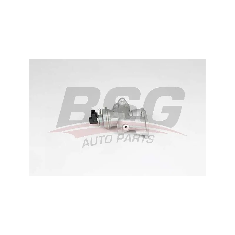 Vanne EGR BSG BSG 65-836-013
