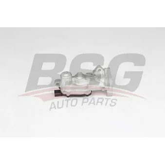 Vanne EGR BSG BSG 65-836-014