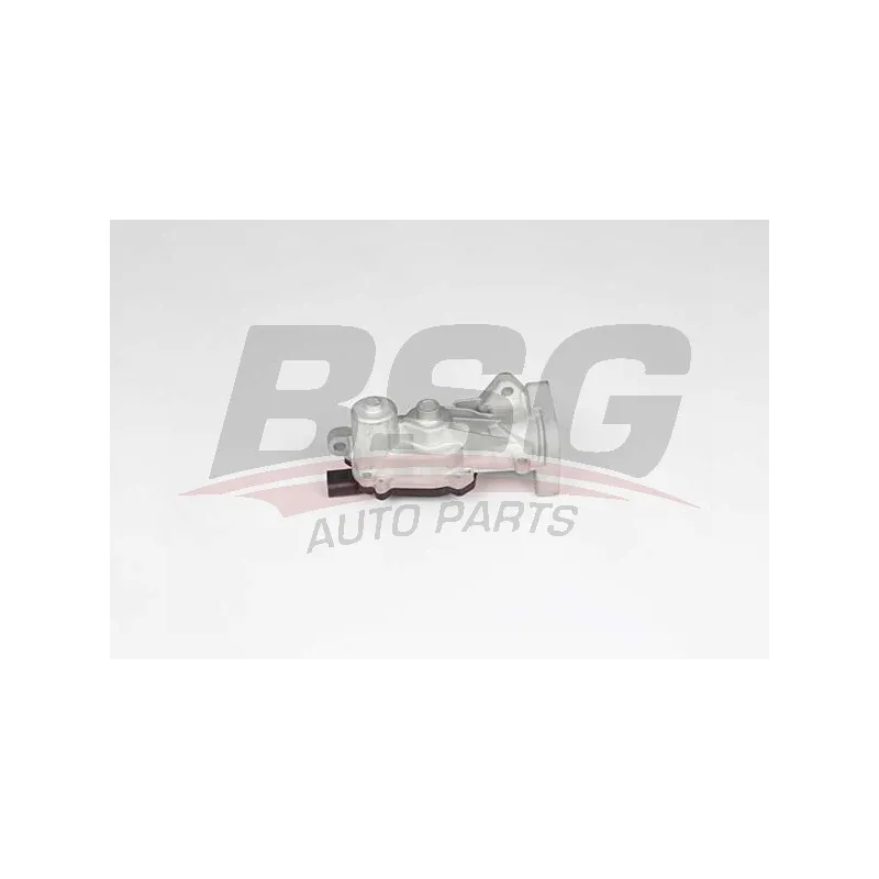 Vanne EGR BSG BSG 65-836-014
