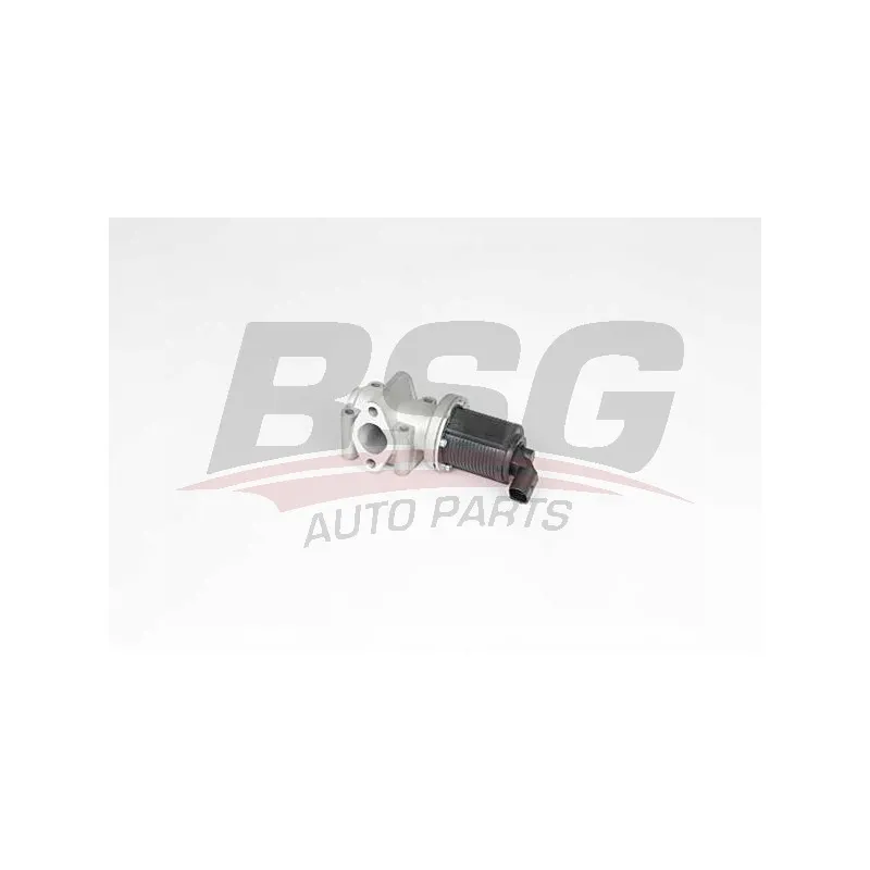 Vanne EGR BSG BSG 65-836-016