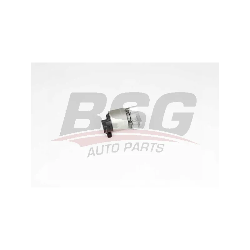 Vanne EGR BSG BSG 65-836-017