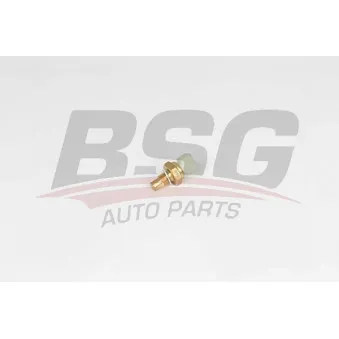 Sonde de température, liquide de refroidissement BSG BSG 65-840-037