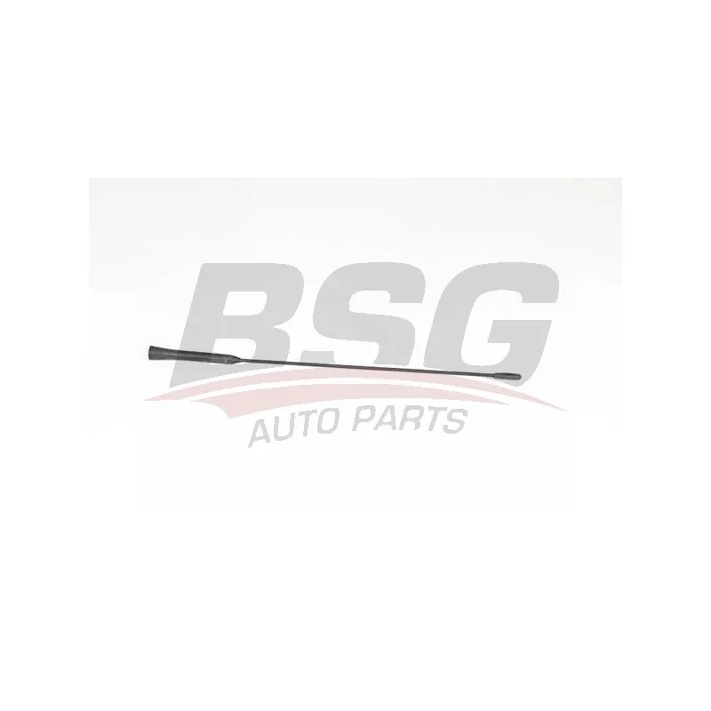 Antenne BSG BSG 65-922-082