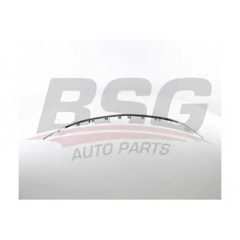 Baguette et bande protectrice, pare-chocs BSG BSG 65-922-101