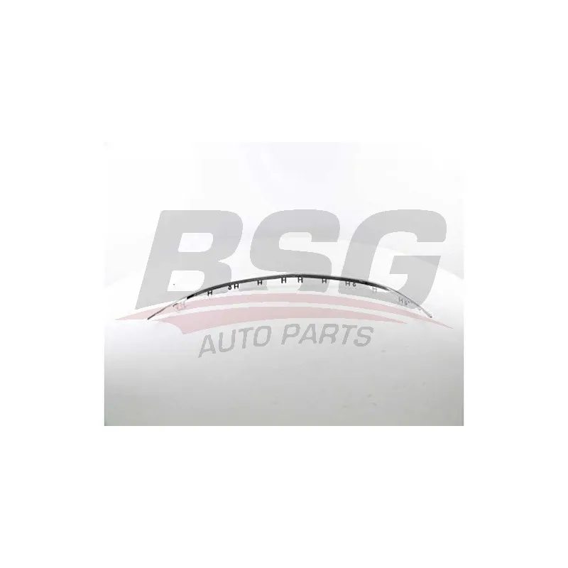 Baguette et bande protectrice, pare-chocs BSG BSG 65-922-101