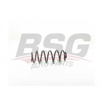 Ressort de suspension BSG BSG 70-305-003