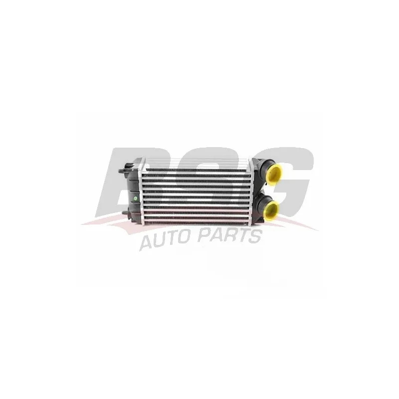 Intercooler, échangeur BSG BSG 70-535-009
