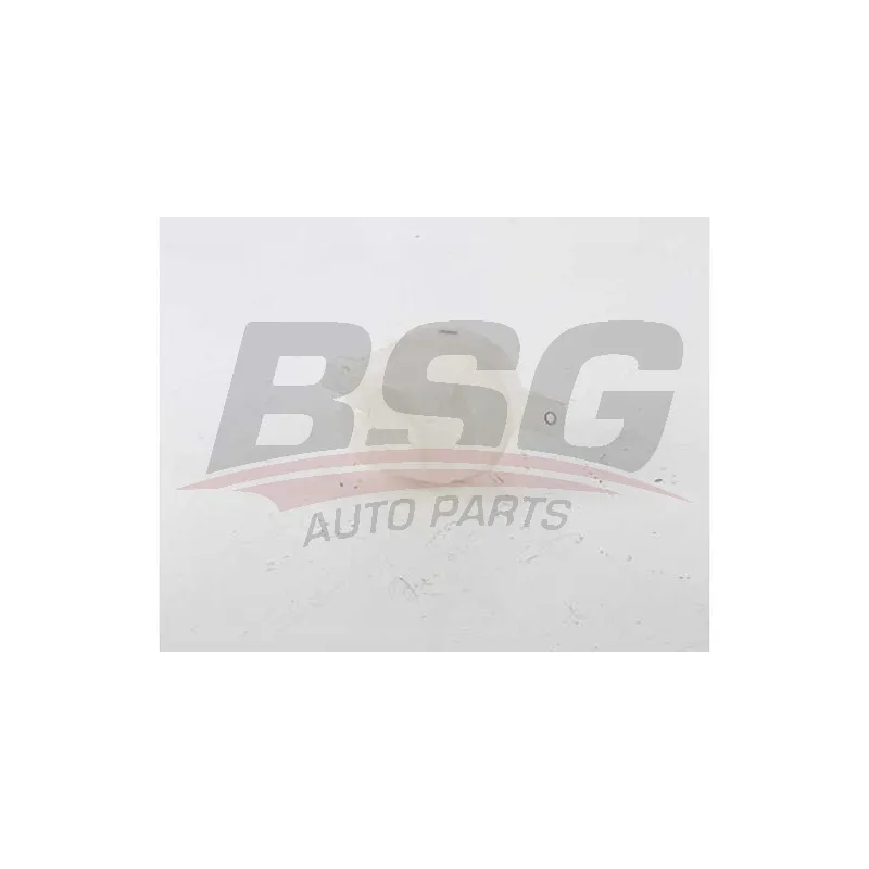 Vase d'expansion, liquide de refroidissement BSG BSG 70-550-012