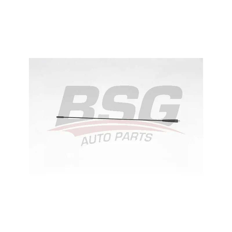Antenne BSG BSG 70-922-038