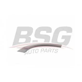 Baguette et bande protectrice, porte avant gauche BSG BSG 70-925-001
