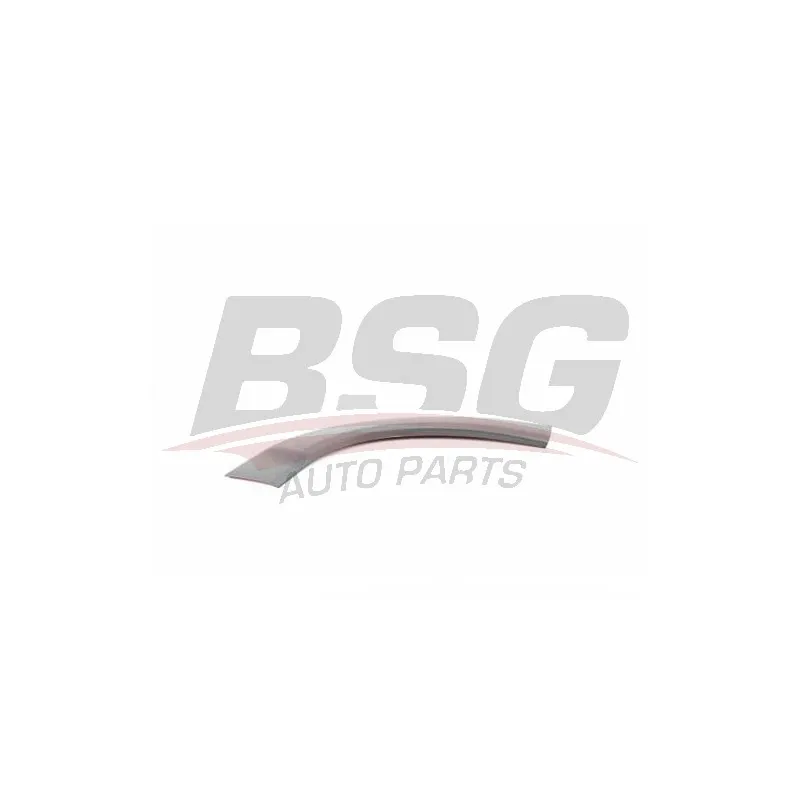 Baguette et bande protectrice, porte avant gauche BSG BSG 70-925-001