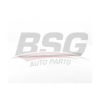 Baguette et bande protectrice, porte avant gauche BSG BSG 70-925-005