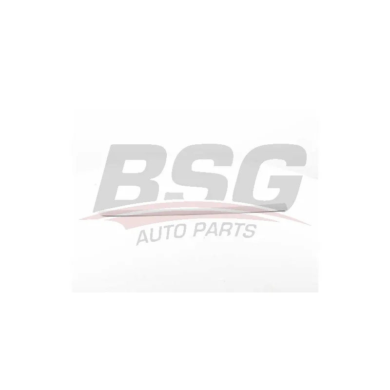 Baguette et bande protectrice, porte avant gauche BSG BSG 70-925-005