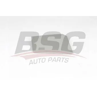 Bouchon, réservoir de carburant avant gauche BSG BSG 70-971-001