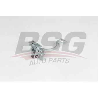 Charnière de porte BSG BSG 70-975-017