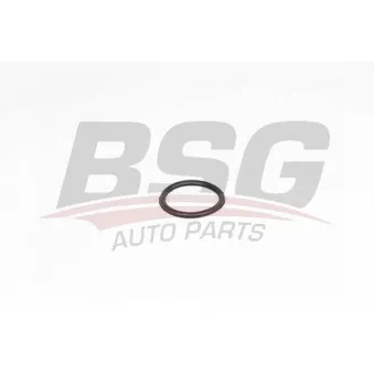 Joint d'étanchéité, thermostat BSG BSG 75-116-008