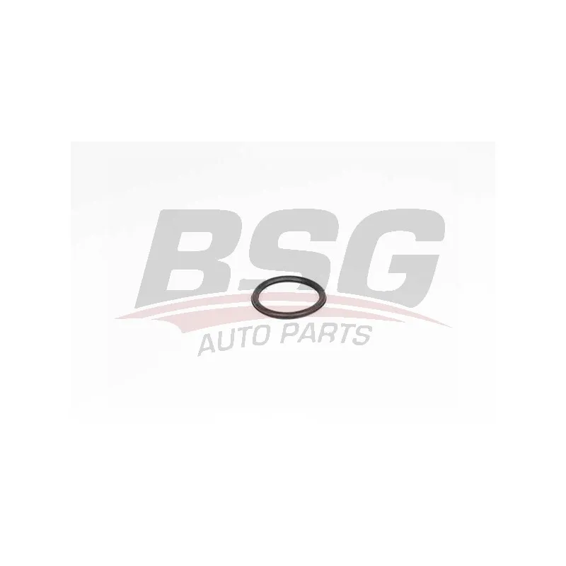 Joint d'étanchéité, thermostat BSG BSG 75-116-008