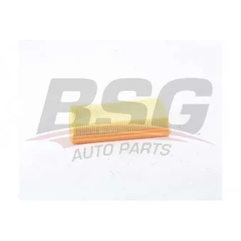 Filtre à air BSG BSG 75-135-010