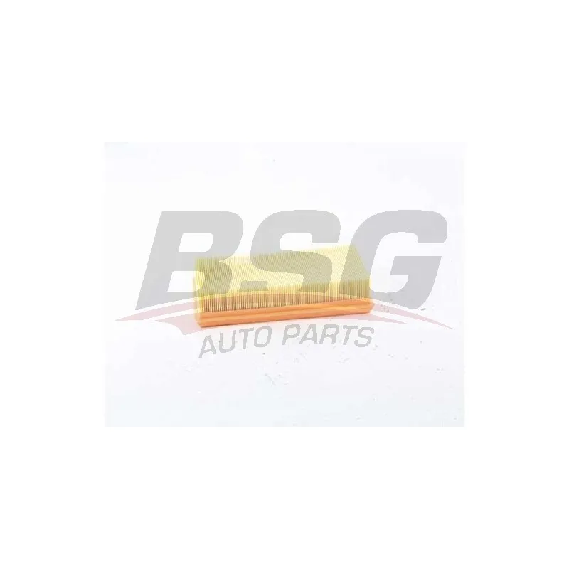 Filtre à air BSG BSG 75-135-010