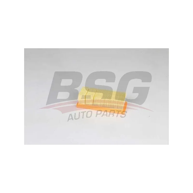 Filtre à air BSG BSG 75-135-017