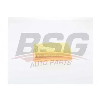 Filtre à air BSG BSG 75-135-022