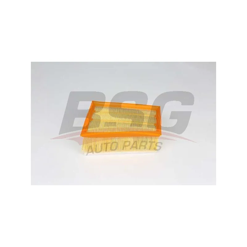 Filtre à air BSG BSG 75-135-025