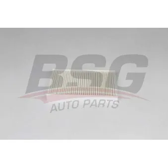 Filtre, air de l'habitacle BSG BSG 75-145-004