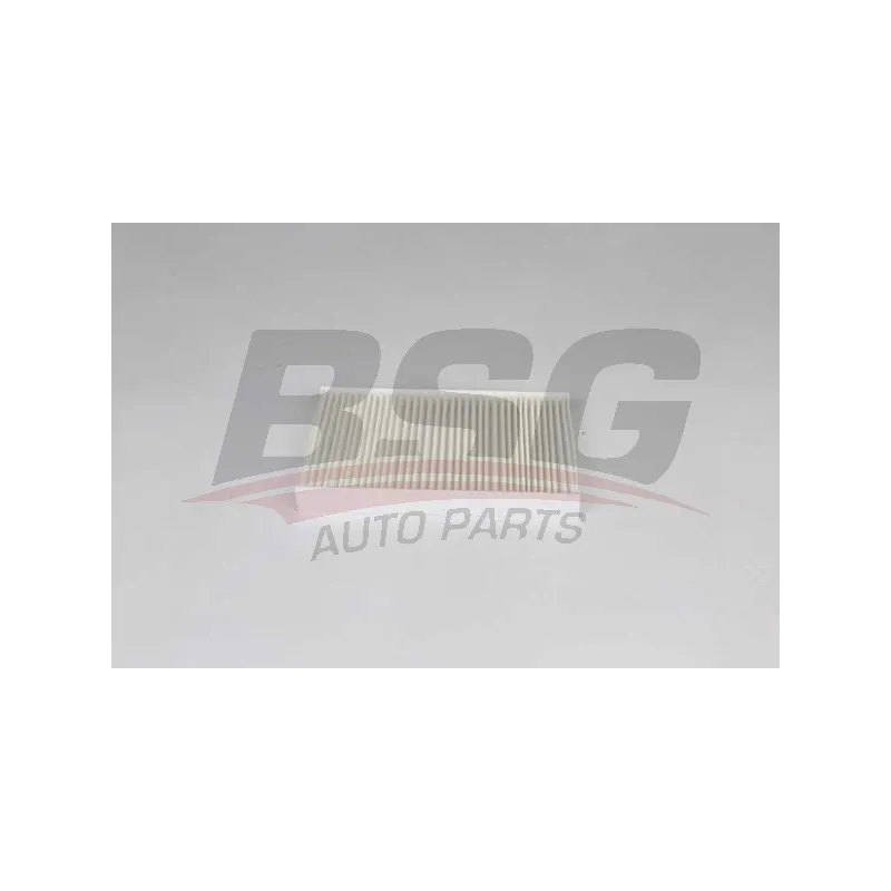 Filtre, air de l'habitacle BSG BSG 75-145-004