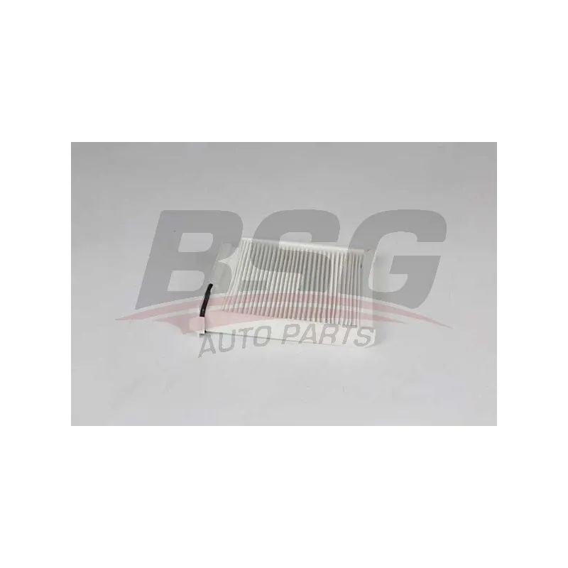 Filtre, air de l'habitacle BSG BSG 75-145-005