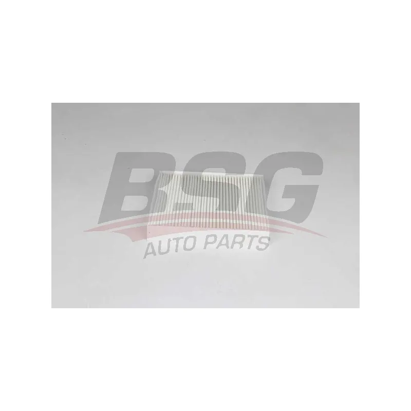 Filtre, air de l'habitacle BSG BSG 75-145-012