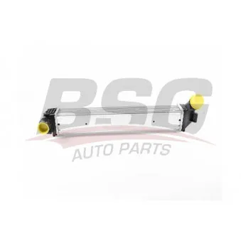 Intercooler, échangeur BSG BSG 75-535-001