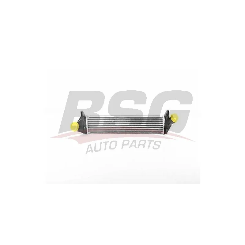 Intercooler, échangeur BSG BSG 75-535-005