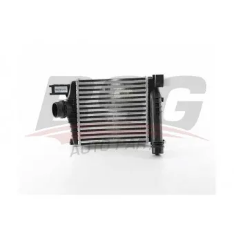 Intercooler, échangeur BSG BSG 75-535-012