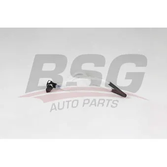 Tuyauterie de carburant BSG BSG 75-725-009