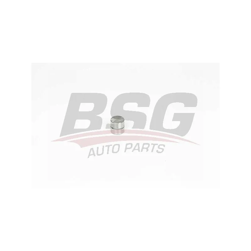 Poussoir de soupape BSG BSG 90-122-021