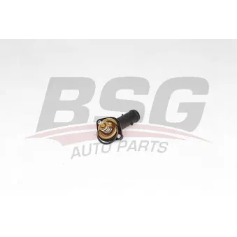 Thermostat d'eau BSG BSG 90-125-008