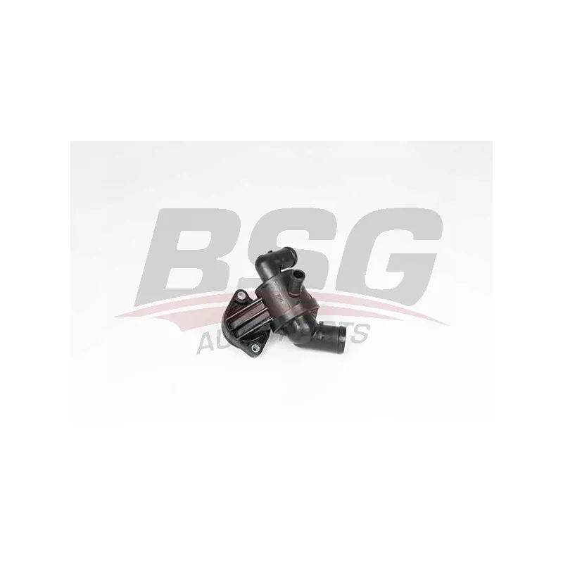 Thermostat d'eau BSG BSG 90-126-052