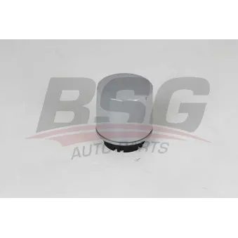 Filtre à huile BSG BSG 90-140-020