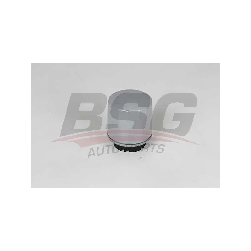 Filtre à huile BSG BSG 90-140-020