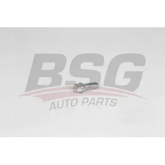 Vis de roue BSG BSG 90-230-013