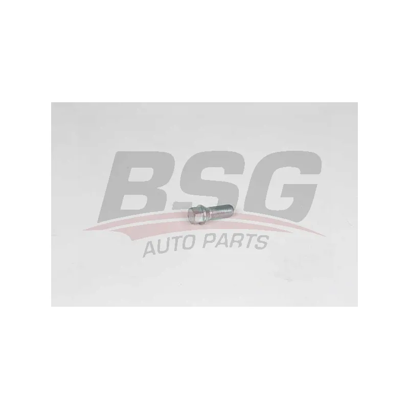 Vis de roue BSG BSG 90-230-013