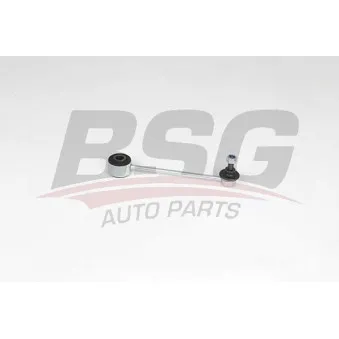 Entretoise/tige, stabilisateur BSG BSG 90-310-203