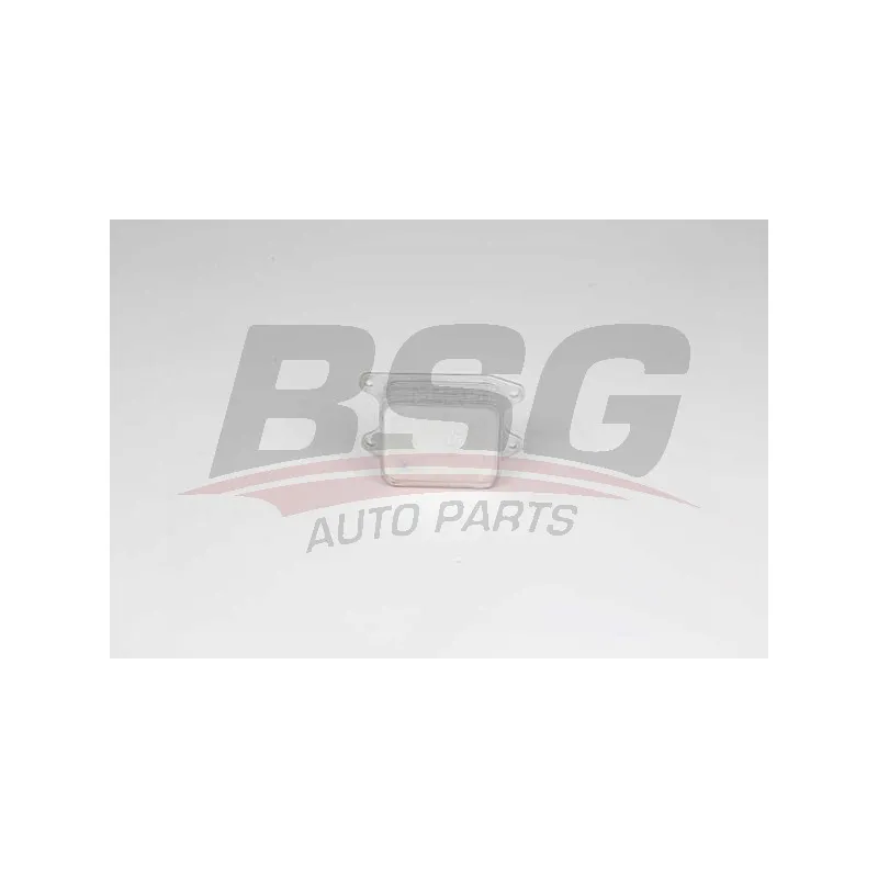 Radiateur d'huile BSG BSG 90-506-015