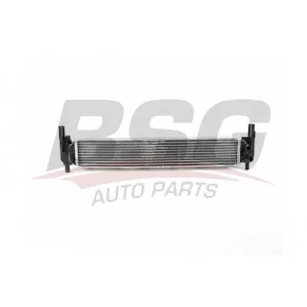 Radiateur, refroidissement du moteur BSG BSG 90-535-012