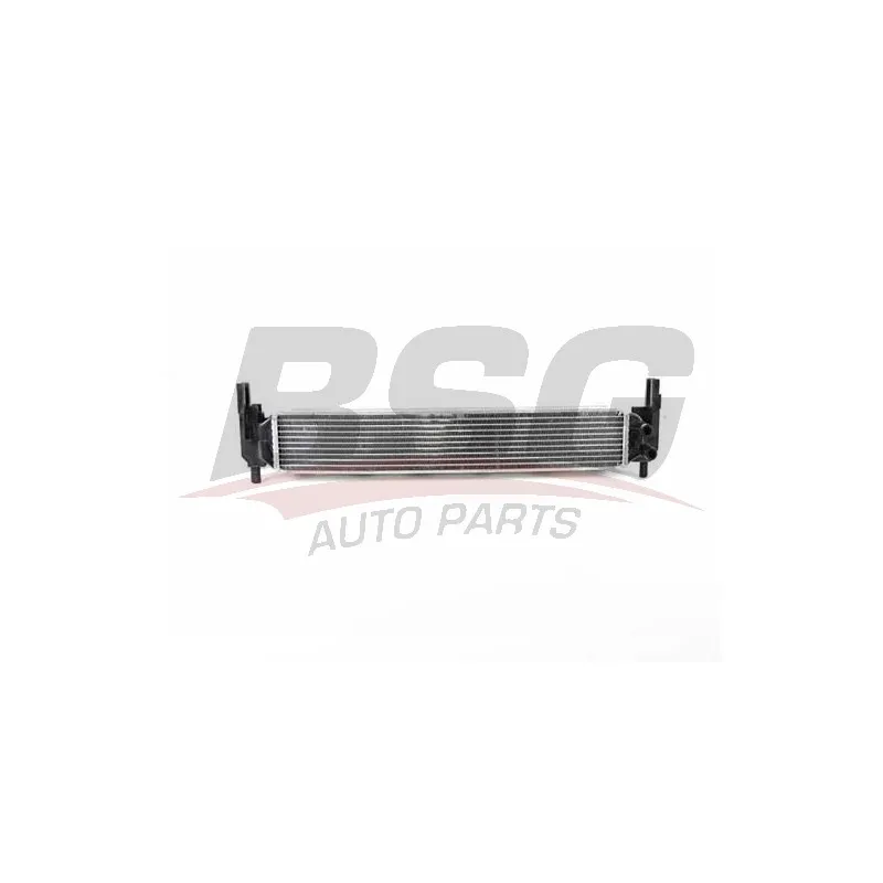 Radiateur, refroidissement du moteur BSG BSG 90-535-012