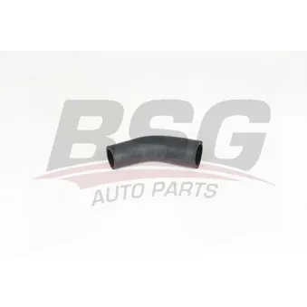 Gaine de suralimentation BSG BSG 90-720-162