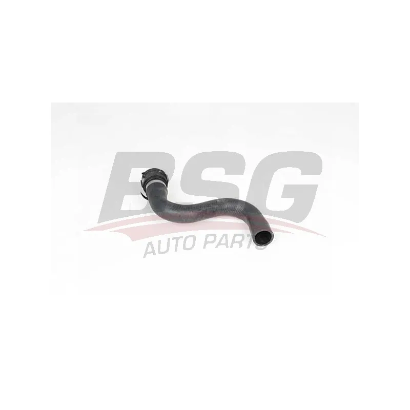 Durite de radiateur BSG BSG 90-720-172