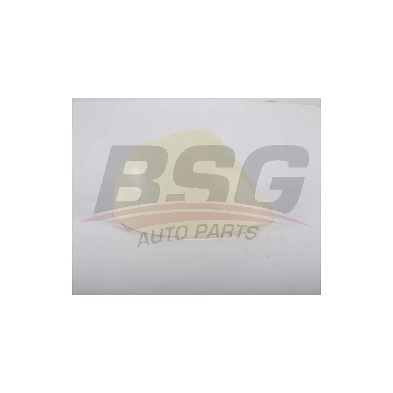 Revêtement, rétroviseur extérieur BSG BSG 90-915-009
